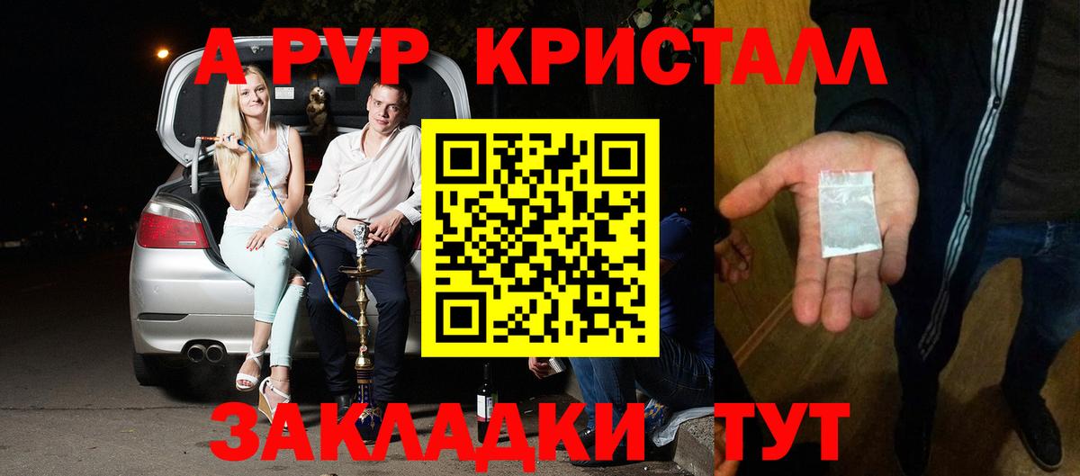 Alfa_PVP СК КРИС Карачаевск