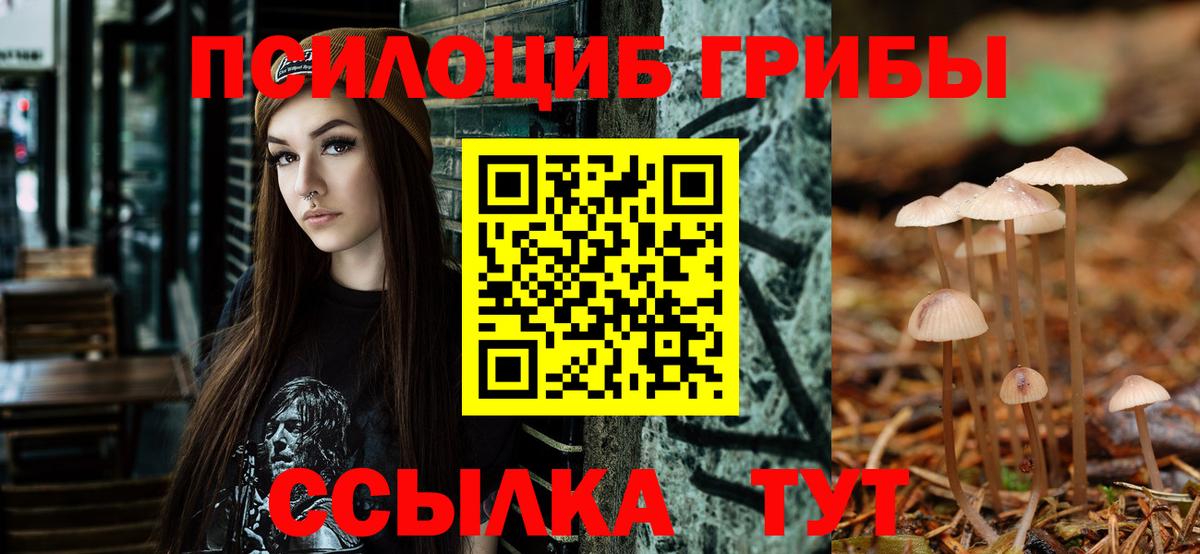 Галлюциногенные грибы ЛСД Карачаевск