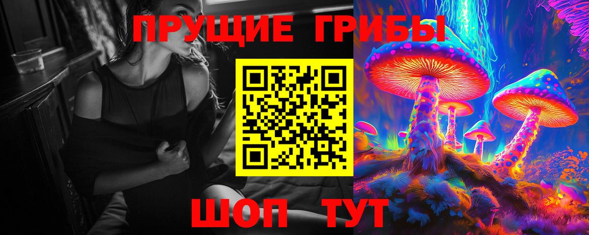 Псилоцибиновые грибы MAGIC MUSHROOMS  купить   Карачаевск  Вход с VPN 