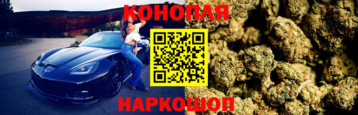 Каннабис семена Карачаевск